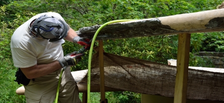 Preservation Work-Fallingwater-summer-451×208 Fallingwater Preservation Technician working on Canopy.